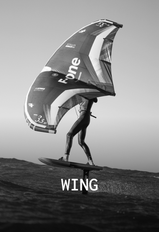 Wing